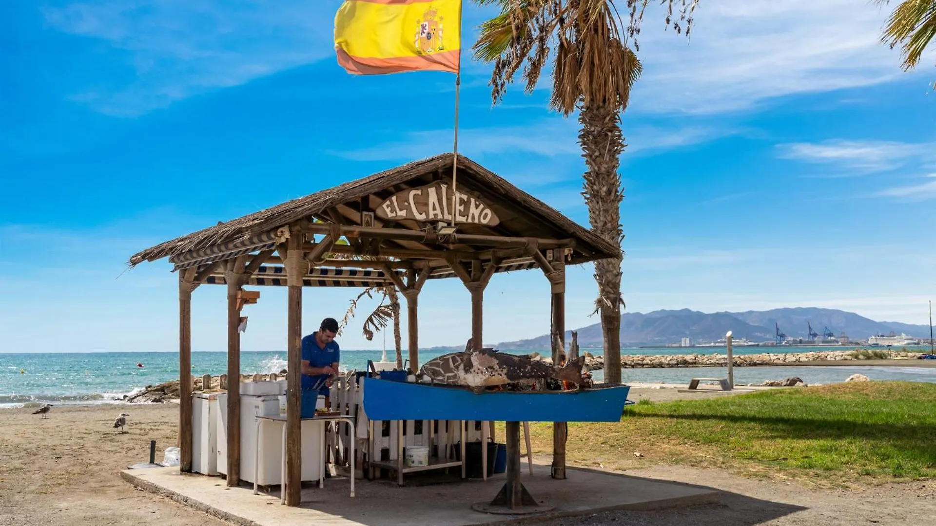 Comfy Apartment 100M From Pedregalejo Beach By Costarentals - Mal02 Malaga 0*,